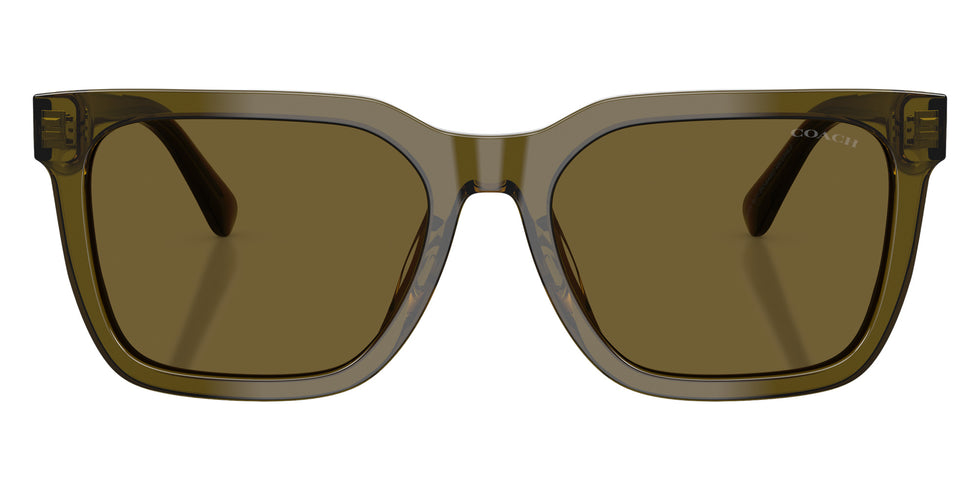 Coach HC8466U CFU12 591073 56 - Transparent Olive / Olive Solid #id:hc8466u591073_s:102100