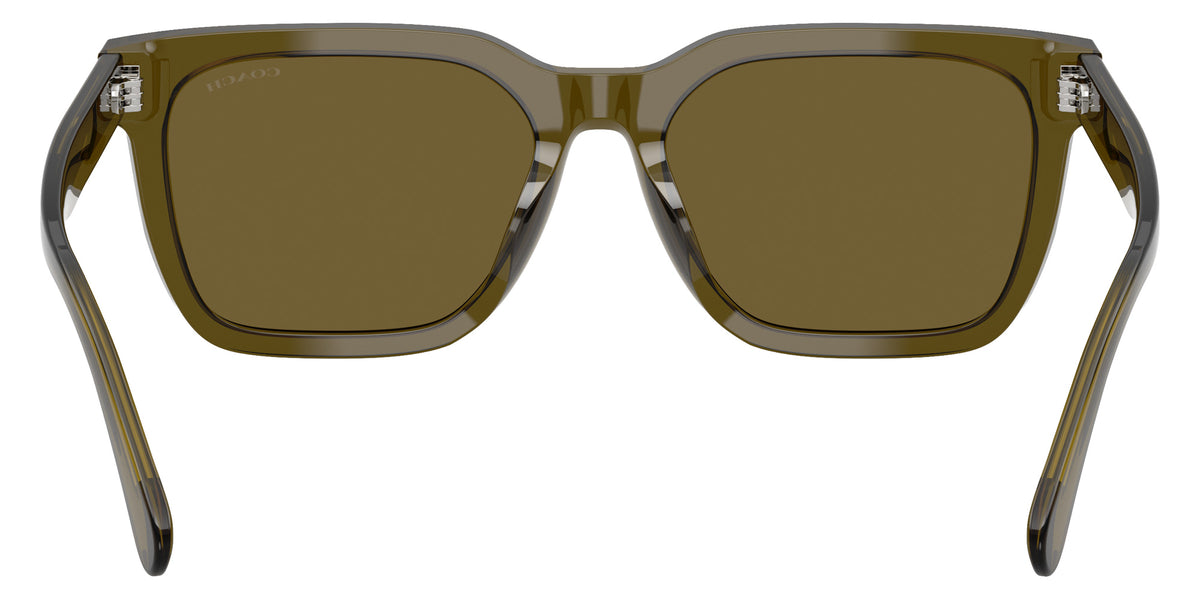 Coach HC8466U CFU12 591073 56 - Transparent Olive / Olive Solid #id:hc8466u591073_s:102115