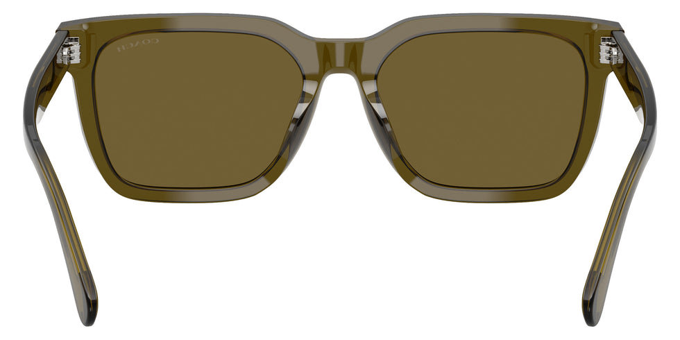 Coach HC8466U CFU12 591073 56 - Transparent Olive / Olive Solid #id:hc8466u591073_s:102115