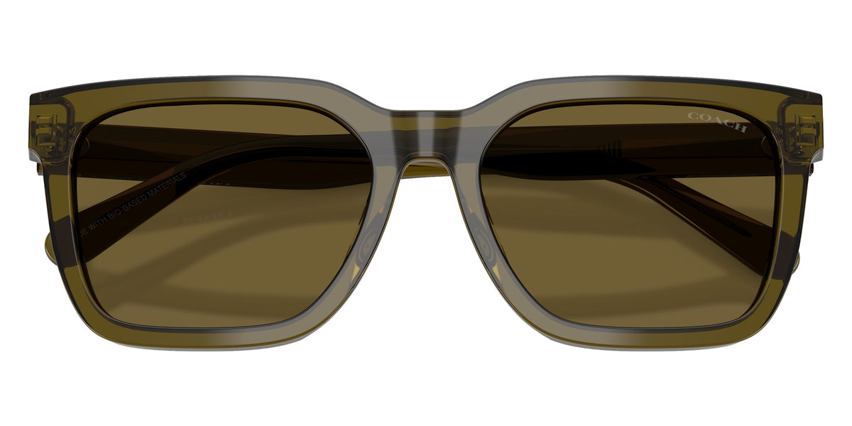 Coach HC8466U CFU12 591073 56 - Transparent Olive / Olive Solid #id:hc8466u591073_s:102120