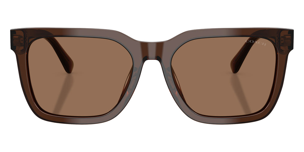 Coach HC8466U CFU12 597373 56 - Transparent Brown / Brown Solid #id:hc8466u597373_s:106100