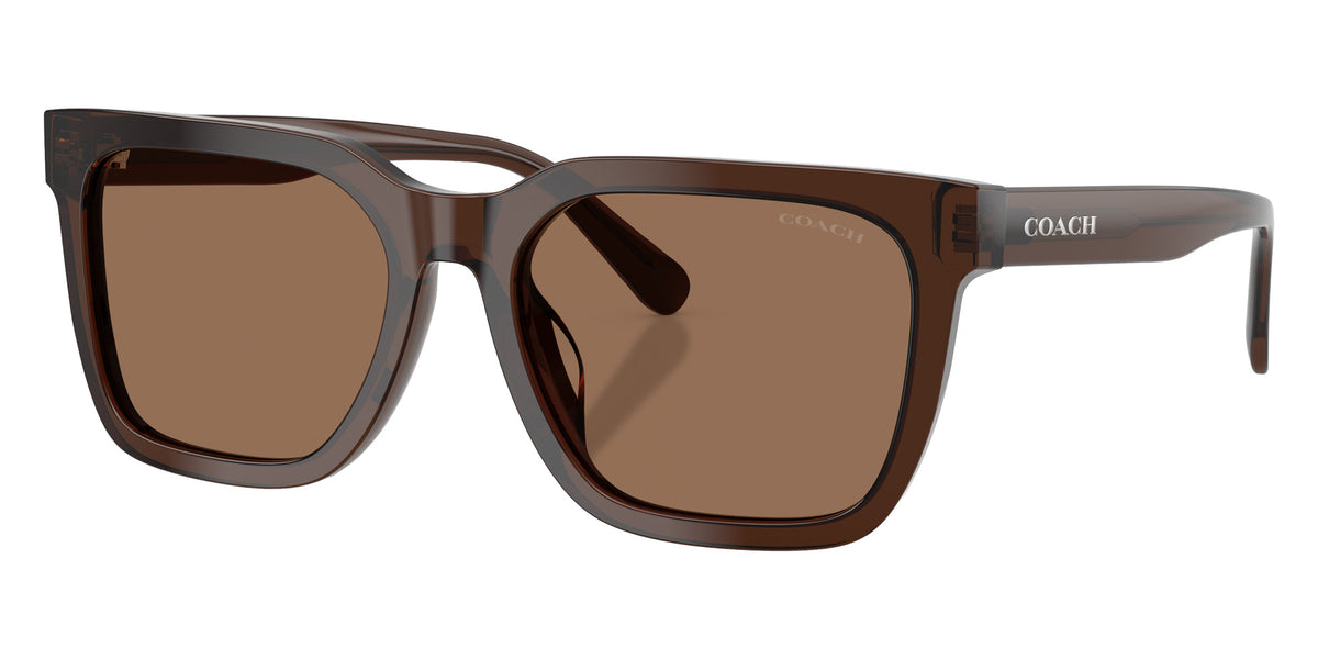 Coach HC8466U CFU12 597373 56 - Transparent Brown / Brown Solid #id:hc8466u597373_s:106105
