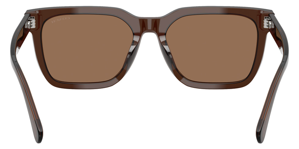 Coach HC8466U CFU12 597373 56 - Transparent Brown / Brown Solid #id:hc8466u597373_s:106115