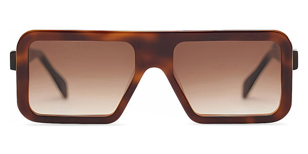 Havana/Blanc/Havana Transparent/Brown / 54-18