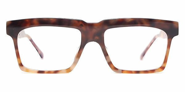 Tortoise / 58-17-142