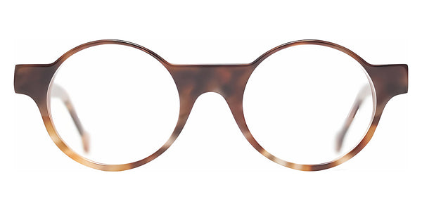 Tortoise / 51-23-145