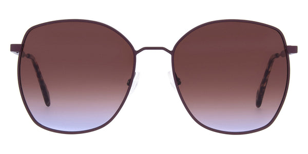 Brown/Blue 07 / 53-17-140