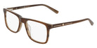 Joseph Abboud JA4133 210 49 - Brown Horn #id:jaja4133210_s:104105