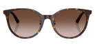 Jimmy Choo JC5056JD 500213 54 - Havana / Gradient Brown #id:jc5056jd500213_s:100100