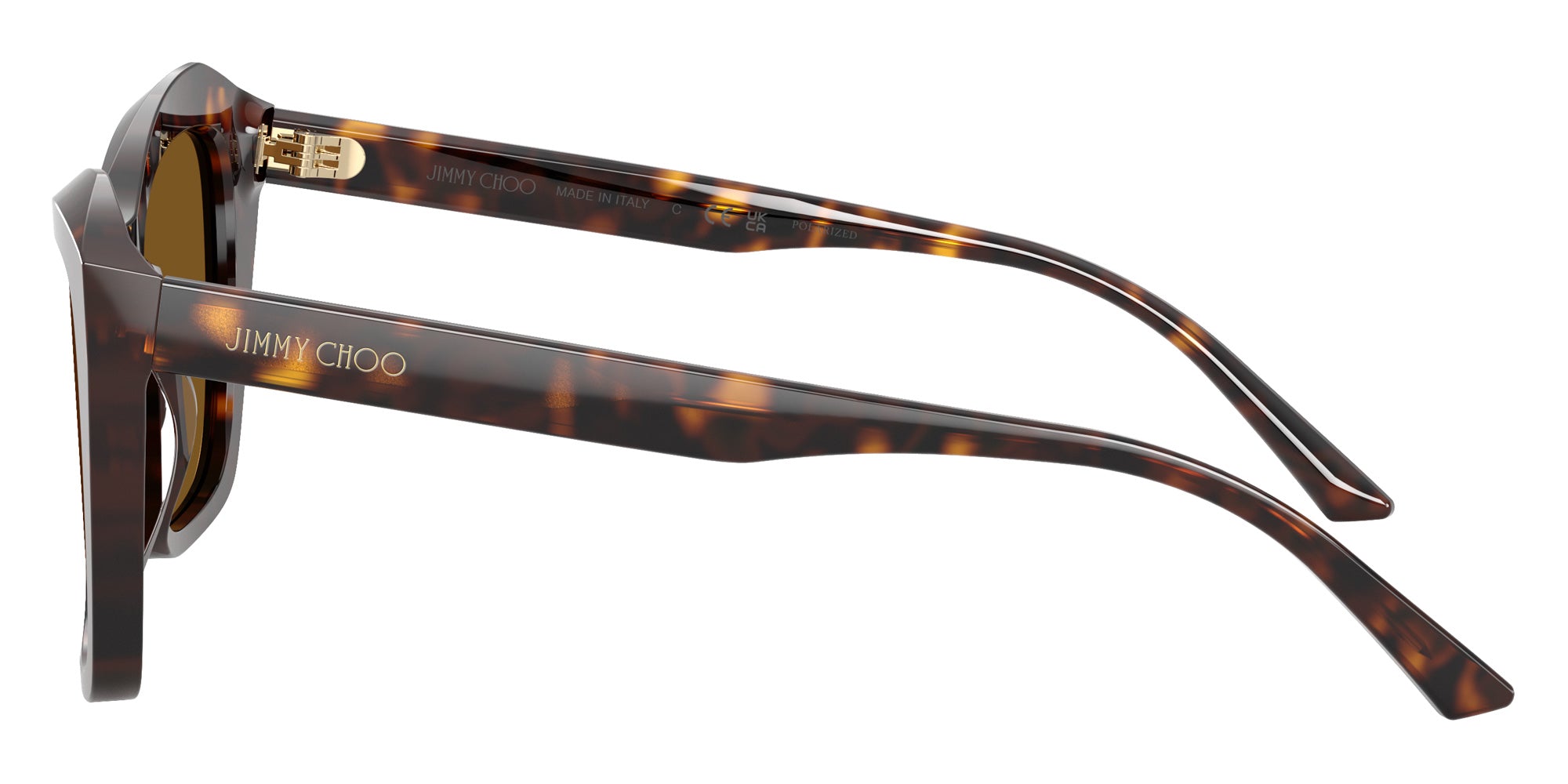 Jimmy Choo JC5076 Square Sunglasses | EyeOns.com