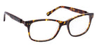 J.F. Rey PARK 0090 50 - Black/Tortoiseshell/G #id:jfrpark0090_s:100100