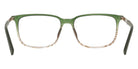 JOE JOE4131 310 55 - Olive Gradient #id:joejoe4131310_s:100120
