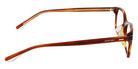 Calvin Klein CK20552A 259 55 - Honey Tortoise #id:kcck20552a259_s:102130