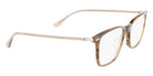 Calvin Klein CK22541 317 53 - Striped Olive #id:kcck22541317_s:100135