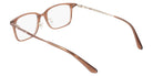 Calvin Klein CK25529LB 200 51 - Transparent Brown #id:kcck25529lb200_s:104115
