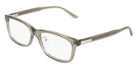 Calvin Klein CK25564LB N 330 55 - Transparent Khaki #id:kcck25564lbn330_s:106105