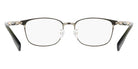 Lacoste L2530LB N 320 52 - Satin Olive #id:lal2530lbn320_s:104120