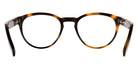 Lacoste L4023 214 51 - Havana #id:lal4023214_s:104120