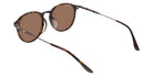 Lacoste L6098SLB 214 52 - Havana #id:lal6098slb214_s:104115