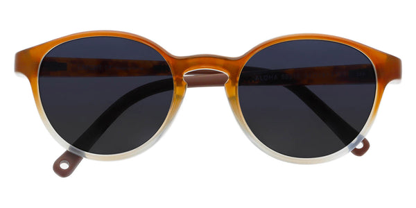 Brown 5531E / 44-19-120