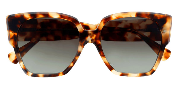 Tortoiseshell 532 / 56-16-142