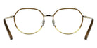 Longchamp LO2185 207 52 - Transparent Gradient Brown/Yellow #id:lclo2185207_s:100120