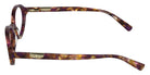 Longchamp LO2811 235 52 - Brown Purple Havana #id:lclo2811235_s:104110