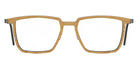 Lindberg 1844 53 - WE17 U9 Olive/Medium Brown #id:lnd1844we17u9_s:348100