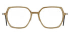 Lindberg 1861 53 - H16 P10 Light Brown #id:lnd1861h16p10_s:104100