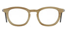Lindberg 1866 47 - H16 10 Light Brown #id:lnd1866h1610_s:100100