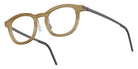 Lindberg 1866 47 - H16 U9 Light Brown #id:lnd1866h16u9_s:112105