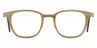 Lindberg 1867 48 - H16 P10 Light Brown #id:lnd1867h16p10_s:104100