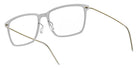 Lindberg 6505 54 - C01 PGT #id:lnd6505c01pgt_s:156105