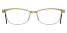Lindberg 7380 50 - 109 P10 #id:lnd7380109p10_s:168100