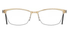 Lindberg 7380 50 - P35 P10 #id:lnd7380p35p10_s:108100