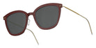 Lindberg 8341 50 - C10-GT IP02 #id:lnd8341c10gtip02_s:170105