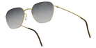 Lindberg 8810 47 - SL26 - curve 4 - Gray/Blue Gradient #id:lnd8810gtsl26_s:100105