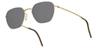 Lindberg 8810 47 - SL83 - curve 4 - Gray #id:lnd8810gtsl83_s:112105