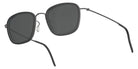 Lindberg 8813 49 - IP02 - Gray Polarized #id:lnd8813u9k24mip02_s:170105