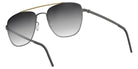 Lindberg 8910 49 - SL86 - curve 4 - Dark Gray Gradient #id:lnd8910u9gtsl86_s:148105