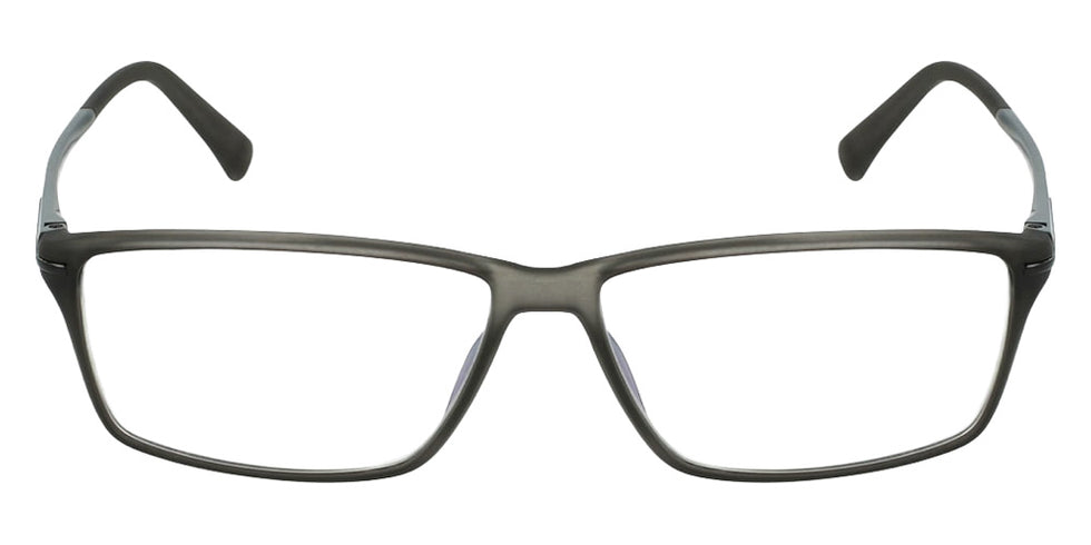 Zeiss ZS20001 220 54 - Gray #id:lzzs20001220_s:100100