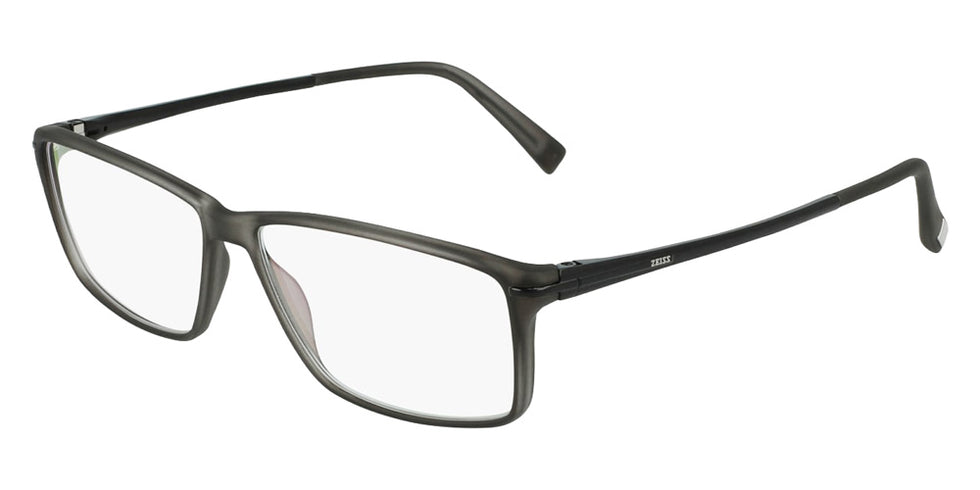 Zeiss ZS20001 220 54 - Gray #id:lzzs20001220_s:100105