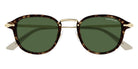 Montblanc MB0336S 002 48 - Havana/Gold / Green #id:mb0336s002_s:100100