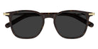 Montblanc MB0460S 003 50 - Havana/Gold / Gray #id:mb0460s003_s:102100