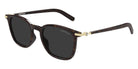 Montblanc MB0460S 003 50 - Havana/Gold / Gray #id:mb0460s003_s:102105