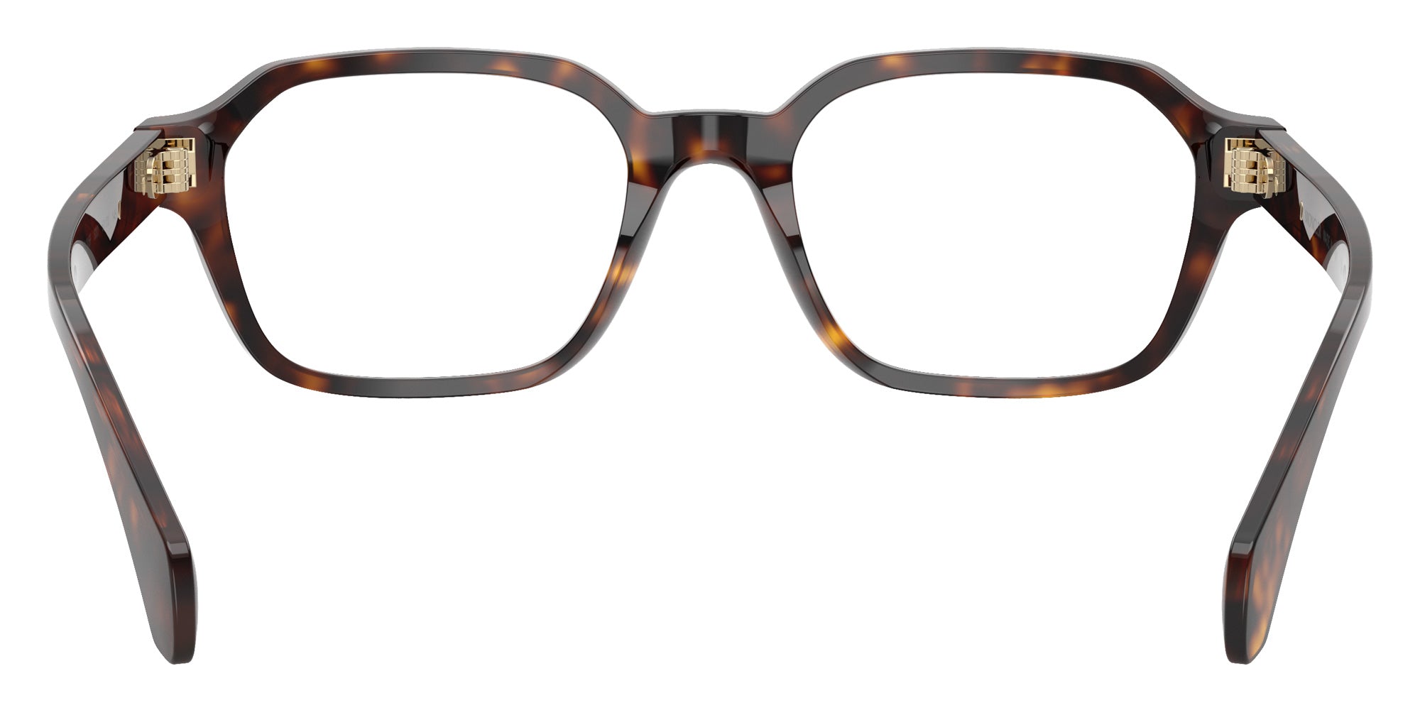 Moncler ME2015F 3002 50 - Shiny Havana #id:me2015f3002_s:100115