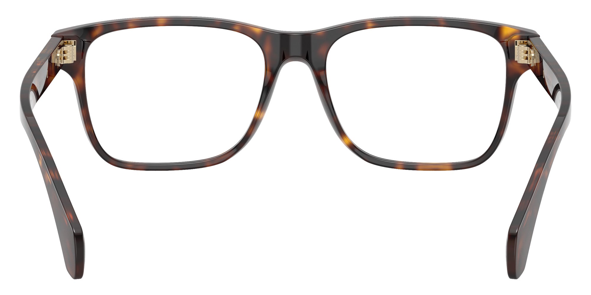 Moncler ME2016 3002 53 - Shiny Havana #id:me20163002_s:102115