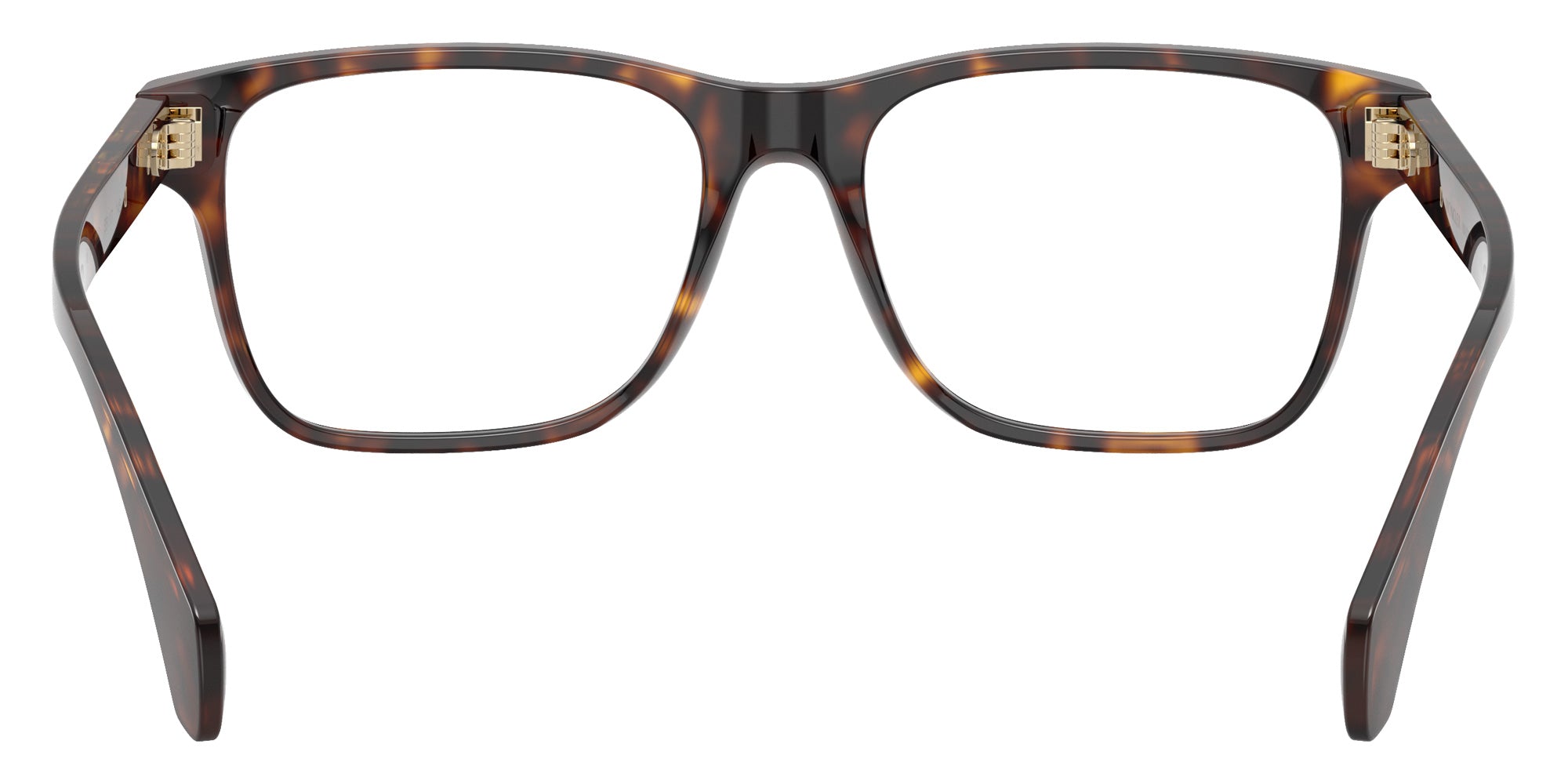 Moncler ME2016F 3002 53 - Shiny Havana #id:me2016f3002_s:100115