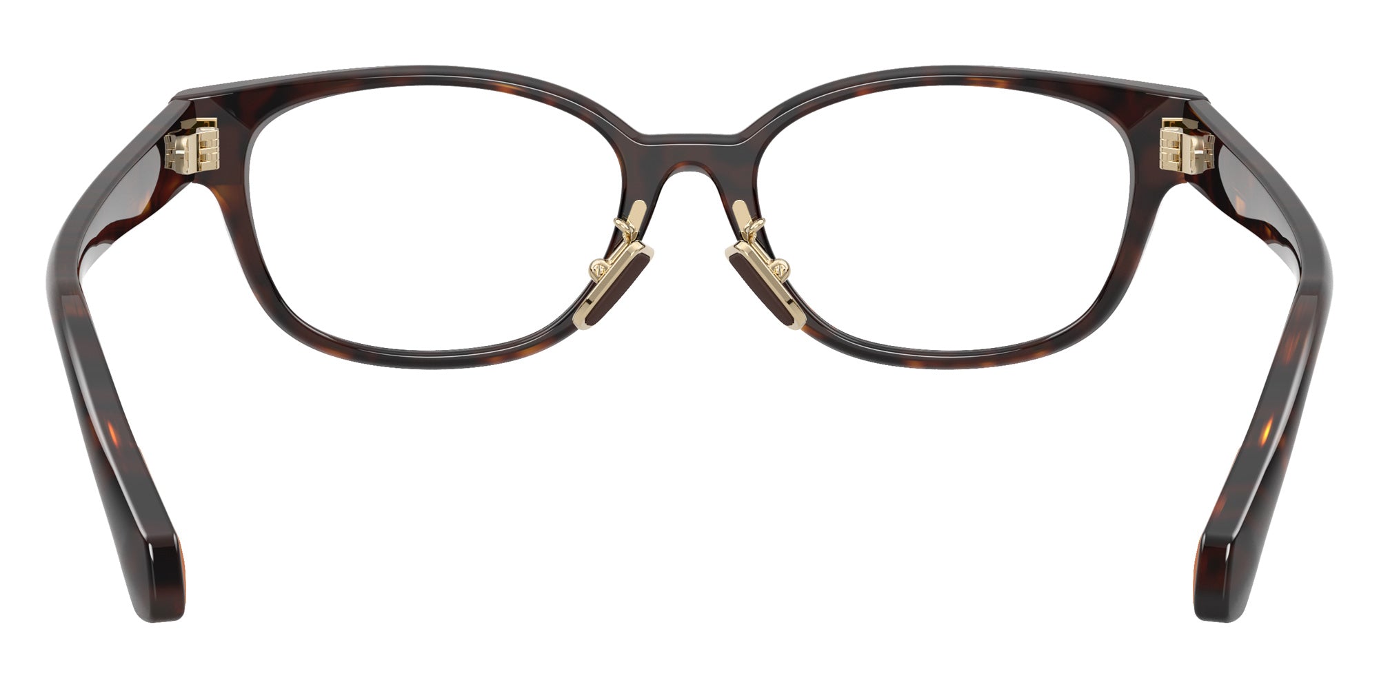 Moncler ME2029D 3002 50 - Shiny Havana #id:me2029d3002_s:102115