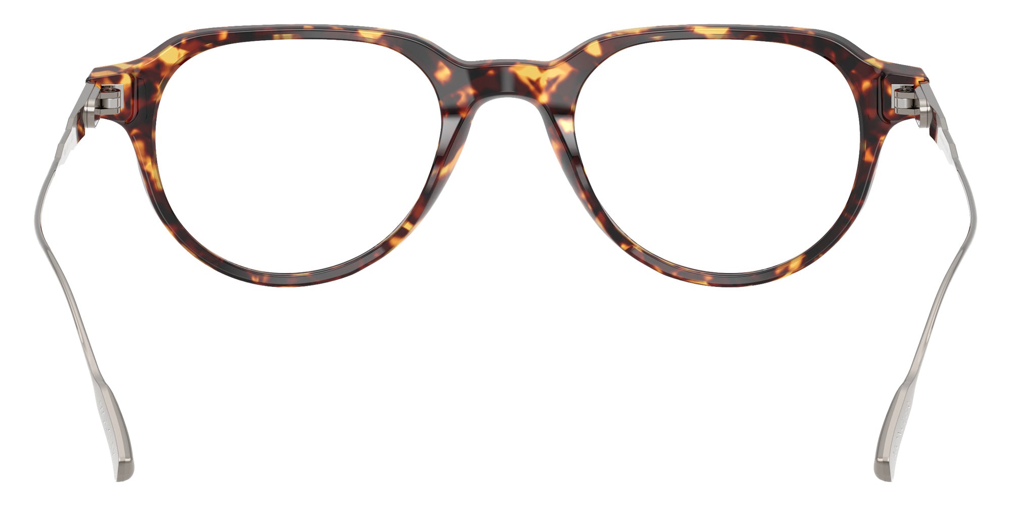 Moncler ME2031F 3038 52 - Shiny Tortoise Brown #id:me2031f3038_s:106115